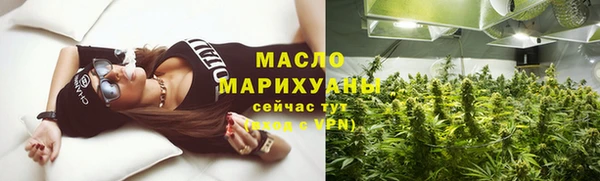 сатива Ростов