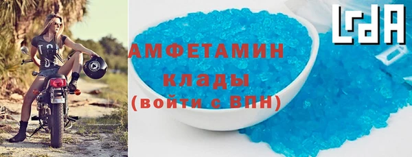 сатива Ростов