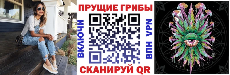 Псилоцибиновые грибы Psilocybine cubensis Глазов